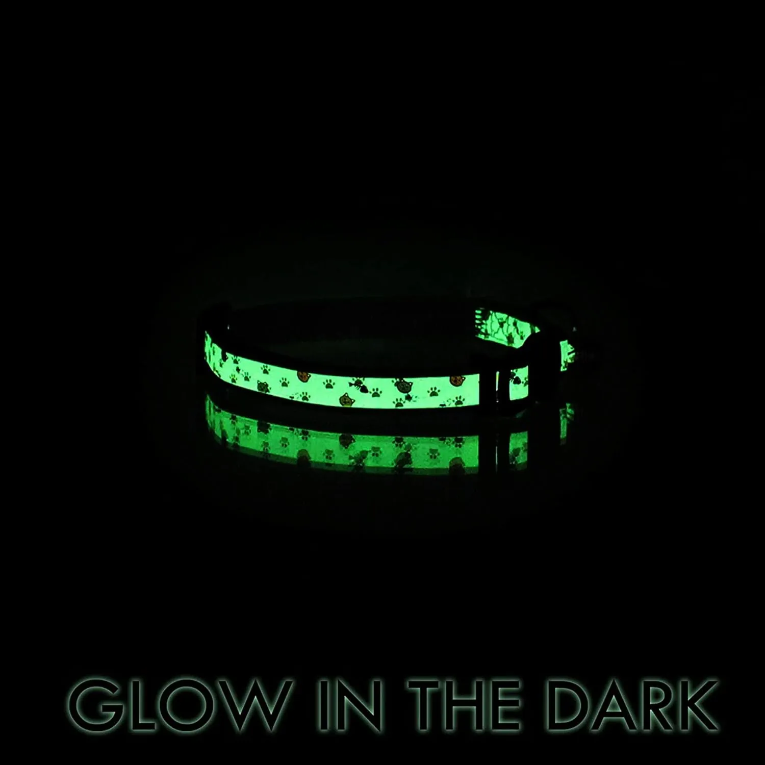 Pawtitas Glow in The Dark Cat Collar with Safety Buckle and Removable Bell Cat Collar Kitten Collar Blue Cat Collar