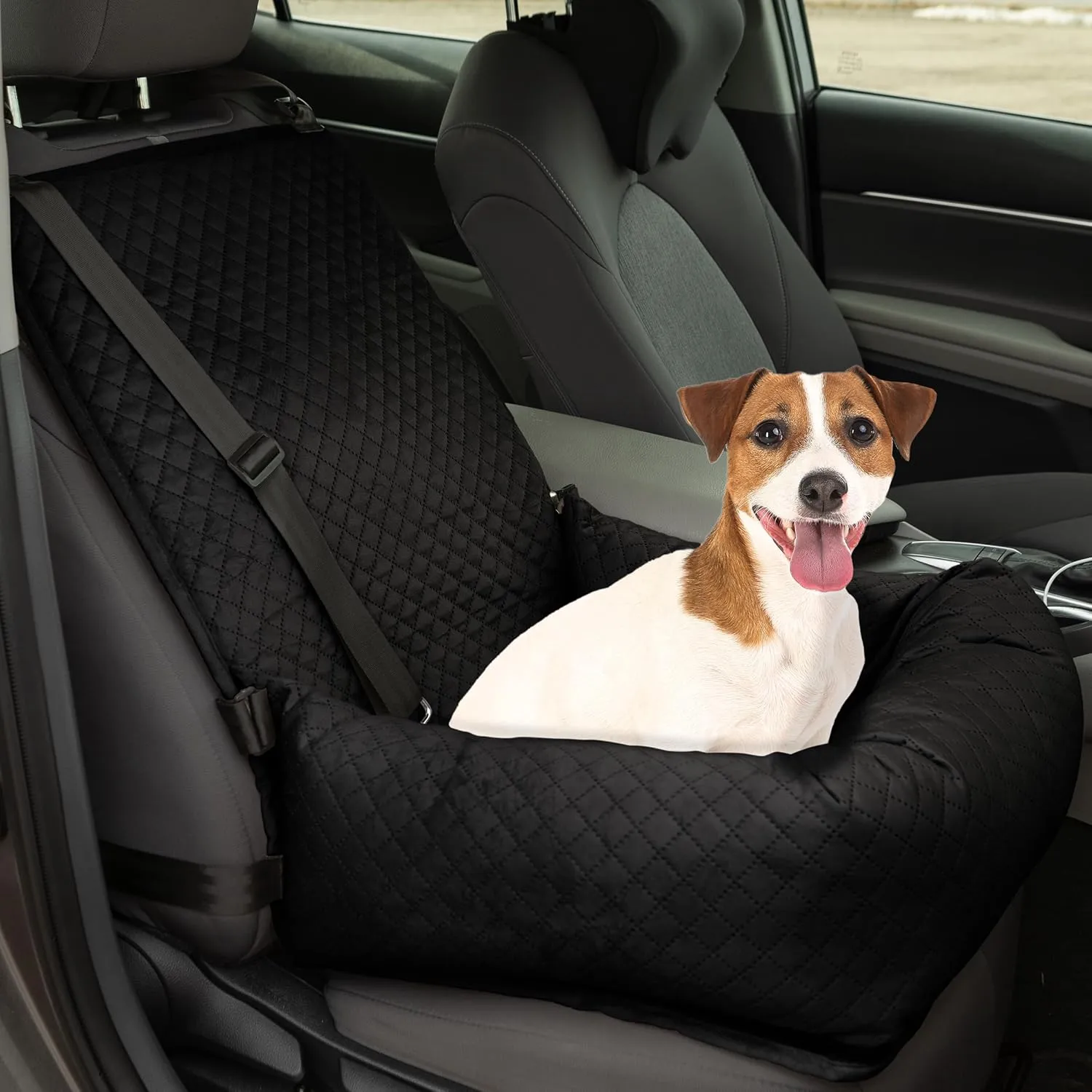Pet Car Seat for Small to Medium Dogs and Cats up to 44lbs - Car Accessories with Tether and Removable Washable Cover - Pet Booster Seat for Front or Back by PETMAKER (Black)