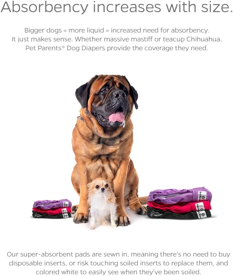 Pet Parents Washable Dog Diapers (3pack)   Extendrs of Durable Doggie Diapers, Premium Dog Diapers Female (X-Large, Princess)