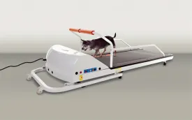 PetRun Small Breed Treadmill (PR710F)
