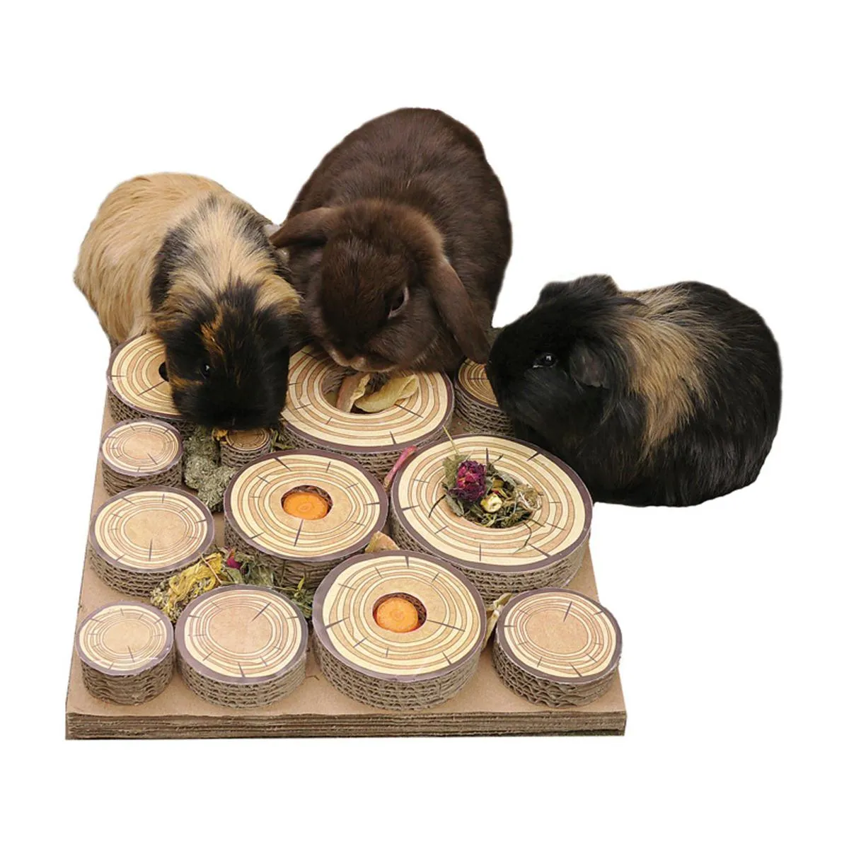 Rosewood | Small Animal Puzzle Toy | Maze-A-Log Treat Challenge