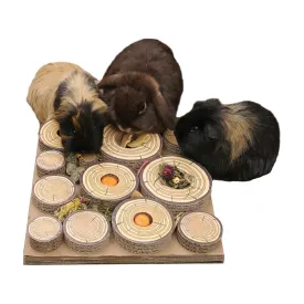 Rosewood | Small Animal Puzzle Toy | Maze-A-Log Treat Challenge