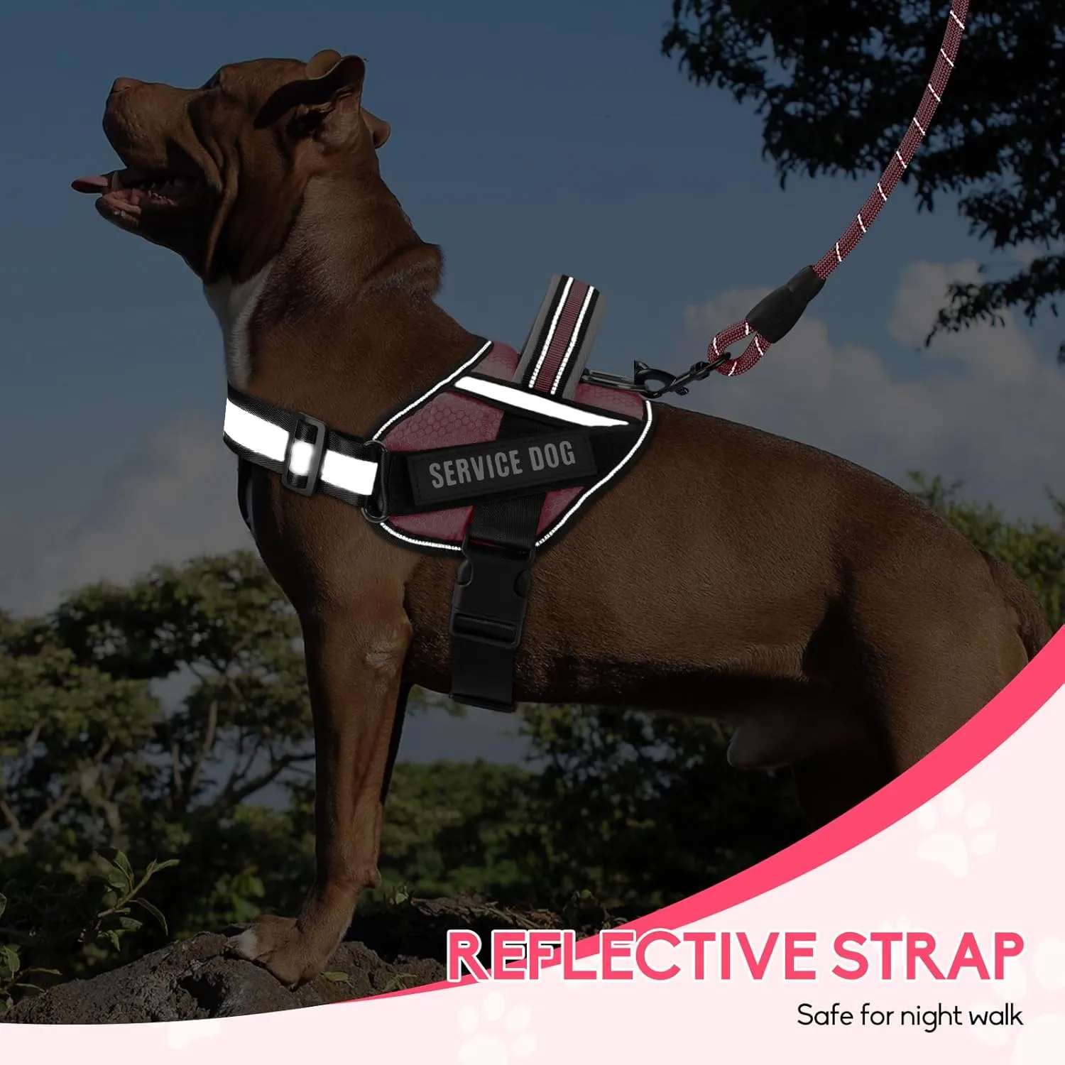 Service Dog Vest Harness and Leash Set, Animire in Training Dog Harness with 10 Dog Patches, Reflective Dog Leash with Soft Padded Handle for Small, Medium, Large, and Extra-Large Dogs