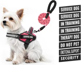 Service Dog Vest Harness and Leash Set, Animire in Training Dog Harness with 10 Dog Patches, Reflective Dog Leash with Soft Padded Handle for Small, Medium, Large, and Extra-Large Dogs