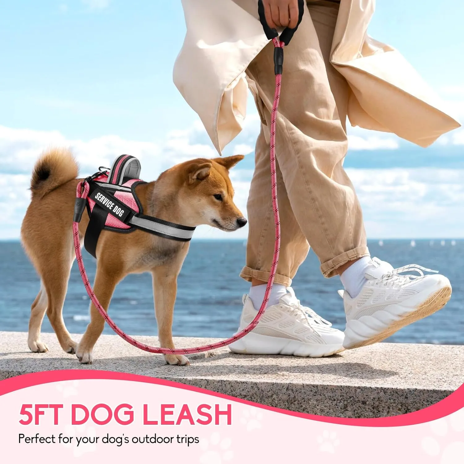 Service Dog Vest Harness and Leash Set, Animire in Training Dog Harness with 10 Dog Patches, Reflective Dog Leash with Soft Padded Handle for Small, Medium, Large, and Extra-Large Dogs