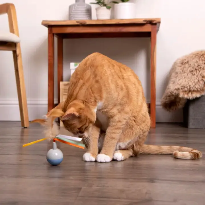 SmartyKat Instincts Rowdy Ribbons™ Electronic Motion Cat Toy (Multi-Color)
