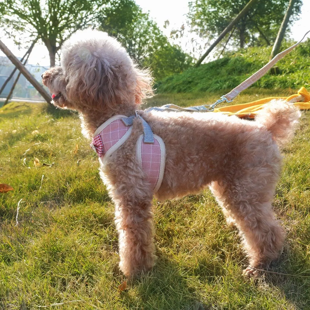 VOOPET Puppy Harness Easy to Put On & Take Off Step in Dog Harness, Puppy Soft Padded Mesh Front Vest with Leash, Adjustable Pets No-Pull Walking Harness with Cute Bows for Small Dogs and Cats