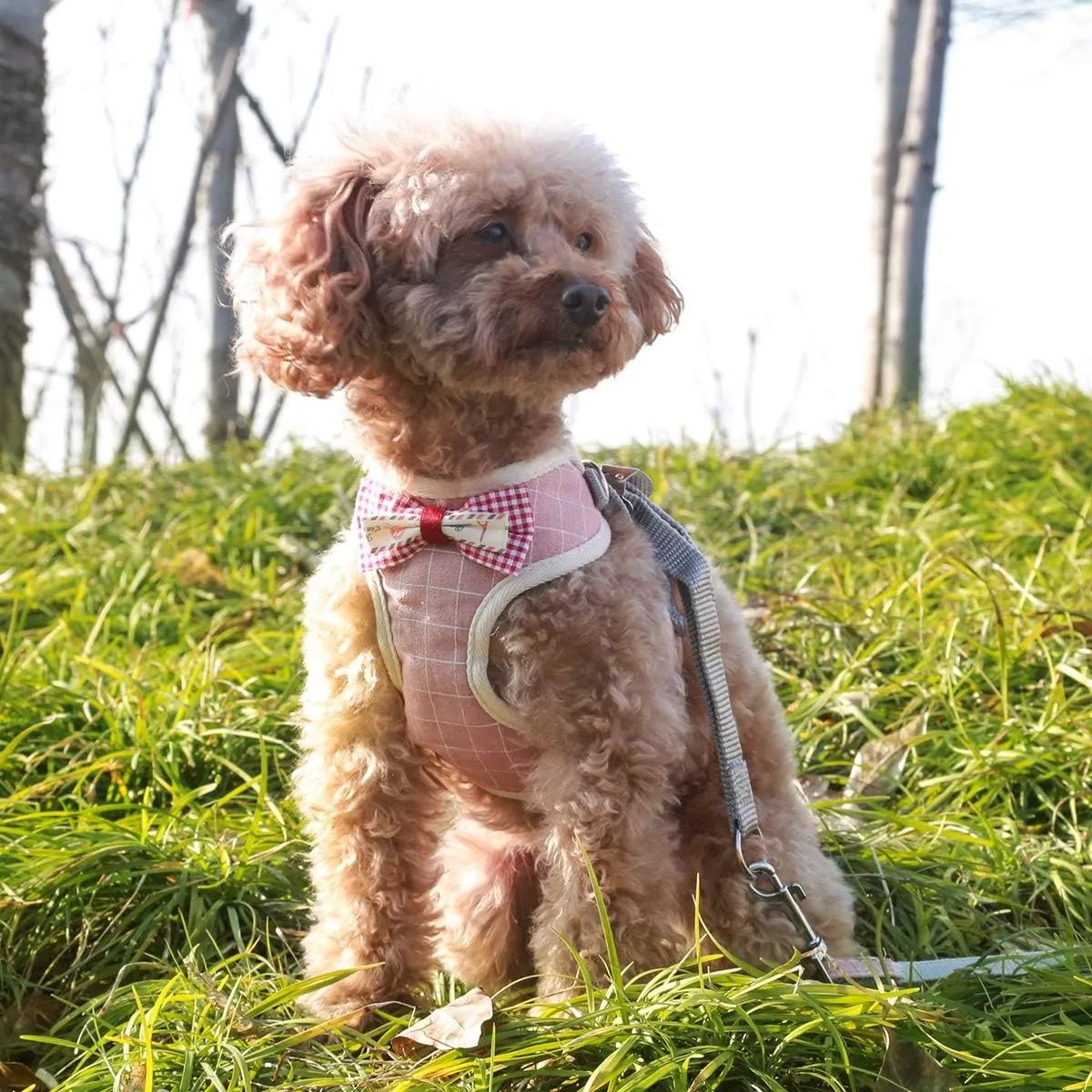 VOOPET Puppy Harness Easy to Put On & Take Off Step in Dog Harness, Puppy Soft Padded Mesh Front Vest with Leash, Adjustable Pets No-Pull Walking Harness with Cute Bows for Small Dogs and Cats