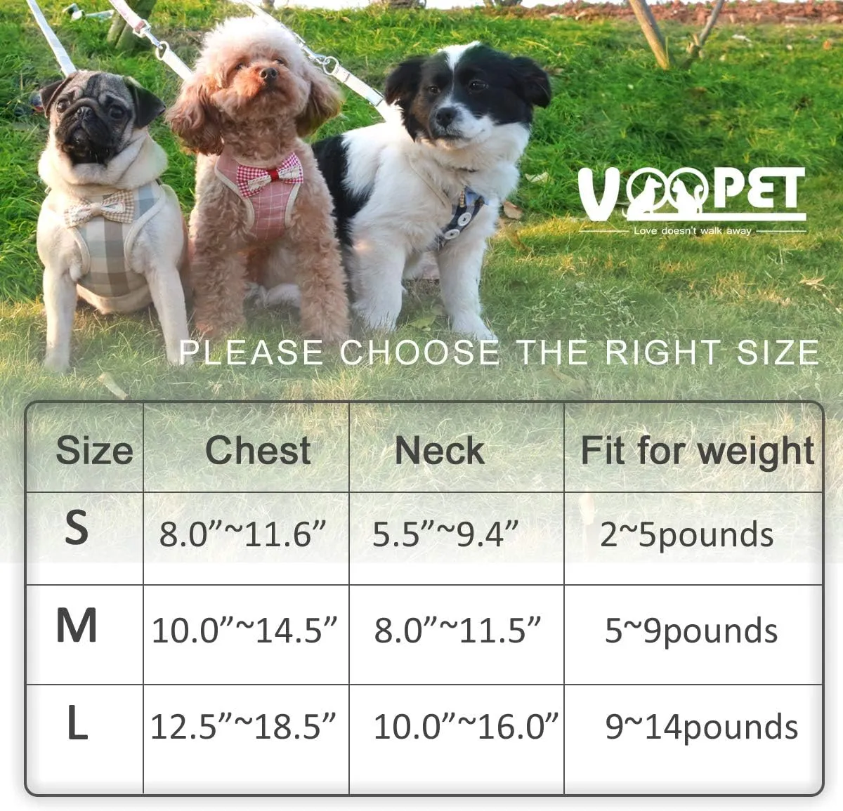 VOOPET Puppy Harness Easy to Put On & Take Off Step in Dog Harness, Puppy Soft Padded Mesh Front Vest with Leash, Adjustable Pets No-Pull Walking Harness with Cute Bows for Small Dogs and Cats