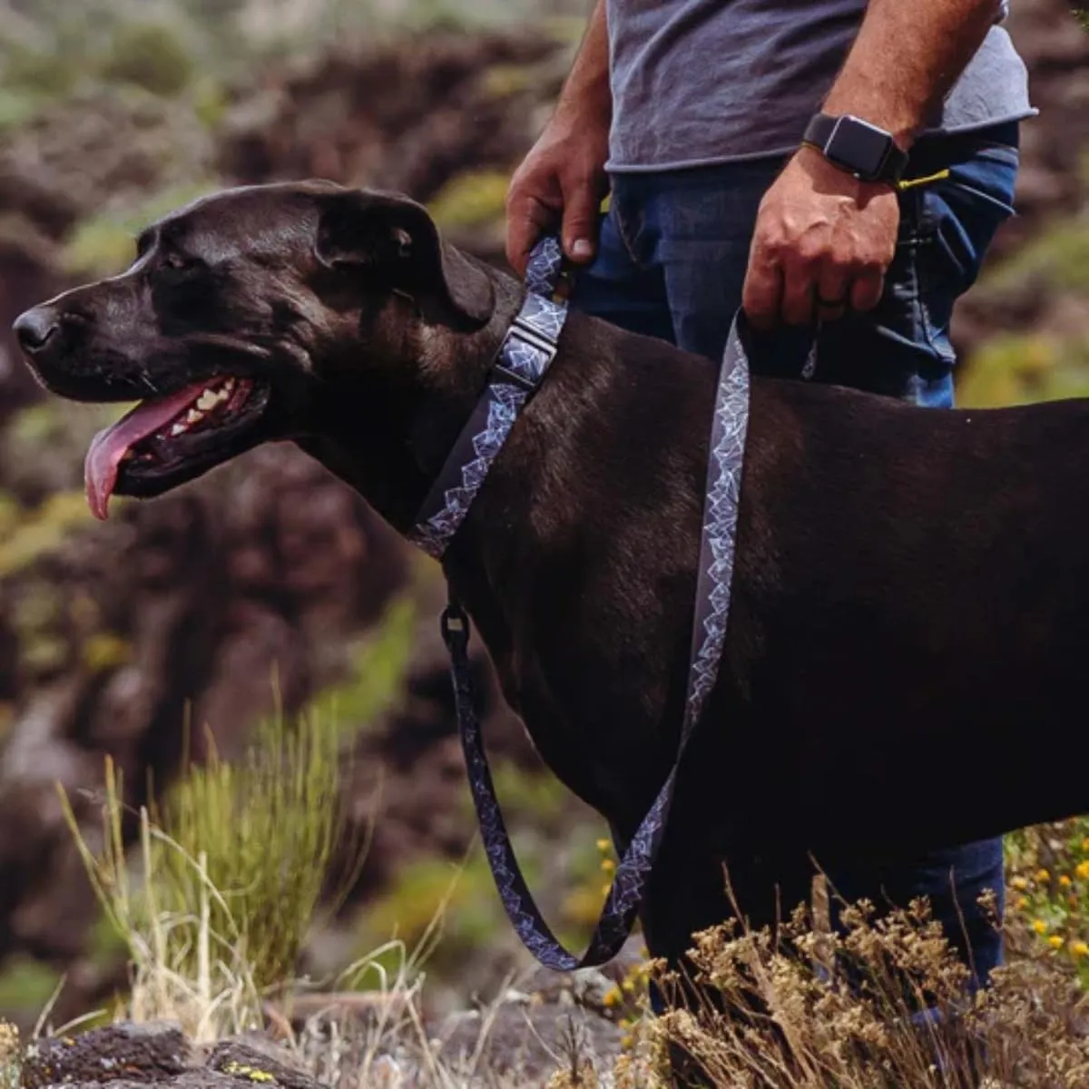 Wolfgang Heavy Duty Dog Leash, Pull-Tested to Over 800 lbs for Walking & Training, WolfMountain Print, Dual-Handle Large